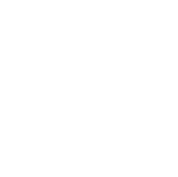 The Beach Company